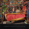 the album cover for Haley Bonar - Impossible Dream
