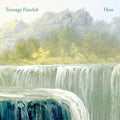 the album cover for Teenage Fanclub - Here