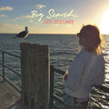 the album cover for Big Search - Life Dollars [Vinyl]