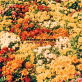 the album cover for Brendan Canning - Home Wrecking Years [Vinyl]