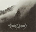 the album cover for Falls Of Rauros - Light That Dwells In Rotten Wood