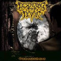 the album cover for Destroying the Devoid - Paramnesia