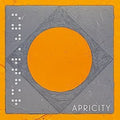 the album cover for Syd Arthur - Apricity
