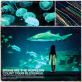 the album cover for Bring Me The Horizon - Count Your Blessings [LP]