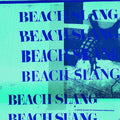 the album cover for Beach Slang - A Loud Bash Of Teenage Feelings