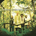 the album cover for Derek Trucks Band - Joyful Noise (Hol)