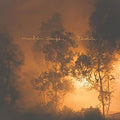 the album cover for Mandolin Orange - Blindfaller [Vinyl]