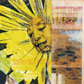 the album cover for Robert Pollard - Not In My Airforce