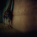 the album cover for Alien Ensemble - Alien Ensemble 2