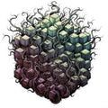 the album cover for TesseracT - Errai