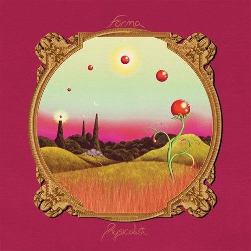 the album cover for Forma - Physicalist
