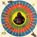 the album cover for Pedro Santos - Krishnanda