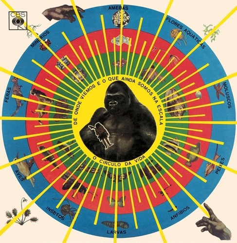 the album cover for Pedro Santos - Krishnanda