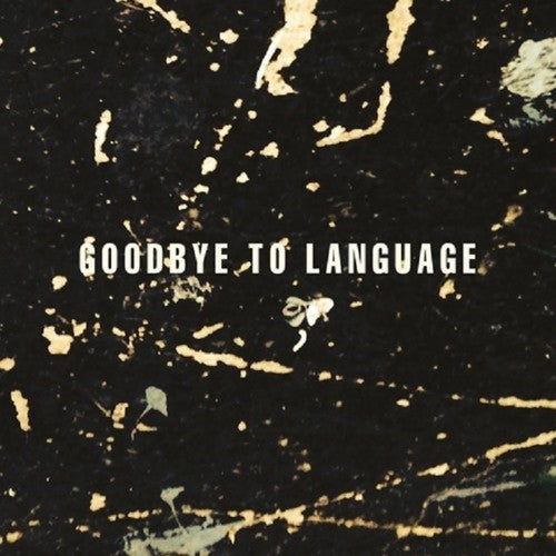 the album cover for Daniel Lanois - Goodbye To Language [Vinyl]