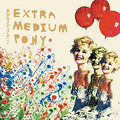 the album cover for Extra Medium Pony - Meaninglessness