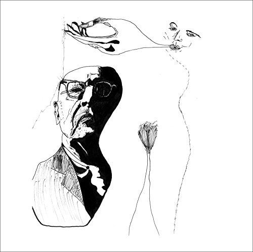 the album cover for Rob Magill - The Owl and the Pussycat