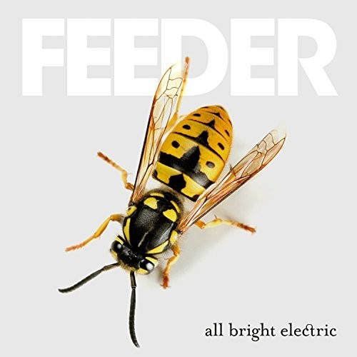 the album cover for Feeder - All Bright Electric [Import]