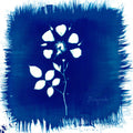 the album cover for Painted Zeros - Floriography