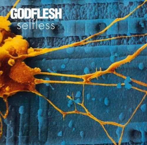 the album cover for Godflesh - Selfless