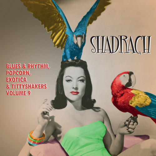 the album cover for Shadrach Blues & Rhythm Popcorn Exotica 9 / Var - Shadrach: Blues & Rhythm Popcorn Exotica 9 / Var