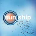 the album cover for Brian Jonestown Massacre - Sun Ship