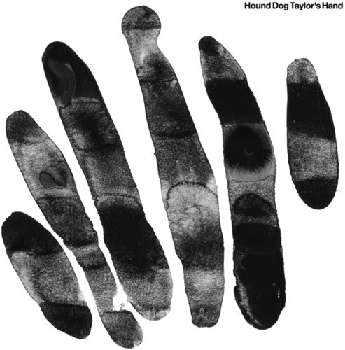 the album cover for Hound Dog Taylors Hand - Hound Dog Taylor's Hand