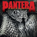 the album cover for Pantera - The Great Southern Outtakes [Vinyl]