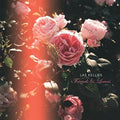 the album cover for Las Kellies - Friends & Lovers