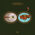 the album cover for Chris Forsyth & The Solar Motel Band - The Rarity Of Experience [LP]