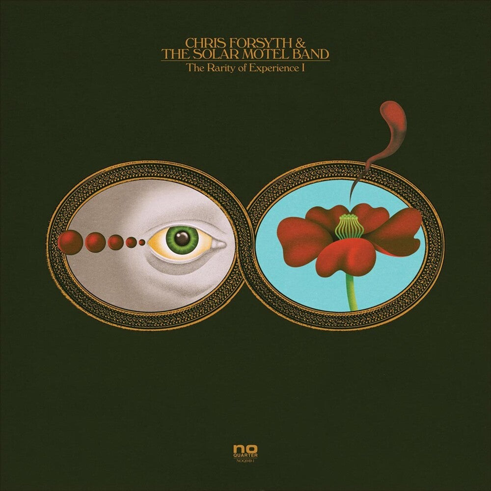 the album cover for Chris Forsyth & The Solar Motel Band - The Rarity Of Experience [LP]