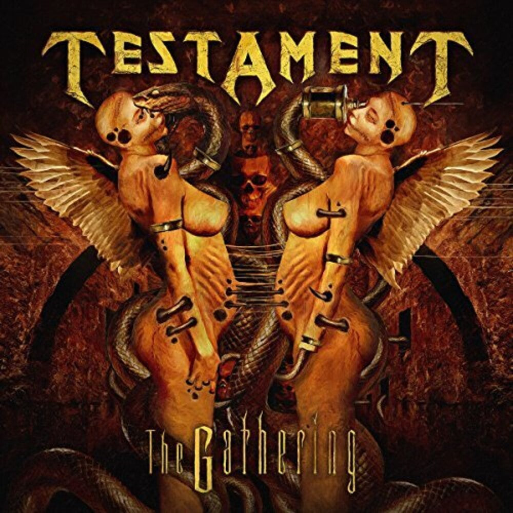 the album cover for Testament - Gathering (Remastered)
