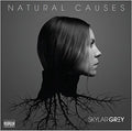 the album cover for Skylar Grey - Natural Causes