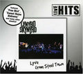 the album cover for Lynyrd Skynyrd - Lyve in Steel Town