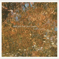 the album cover for Baird Sisters - Until You Find Your Green