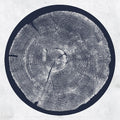 the album cover for Roy Montgomery - R: Tropic Of Anodyne