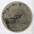 the album cover for Roy Montgomery - H: Bender