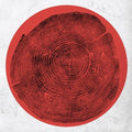 the album cover for Roy Montgomery - Q: Transient Global Amnesia