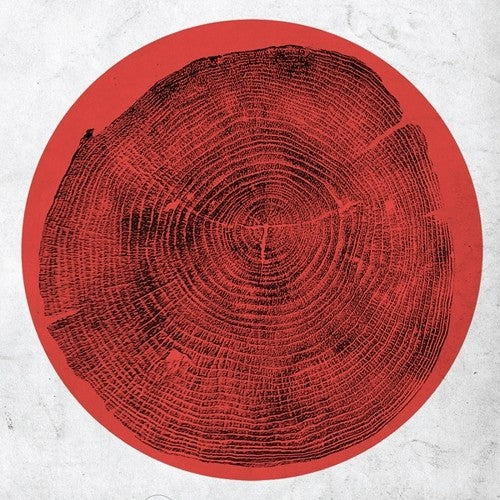 the album cover for Roy Montgomery - Q: Transient Global Amnesia