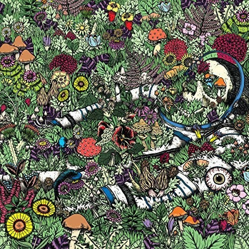 the album cover for Oozing Wound - Whatever Forever