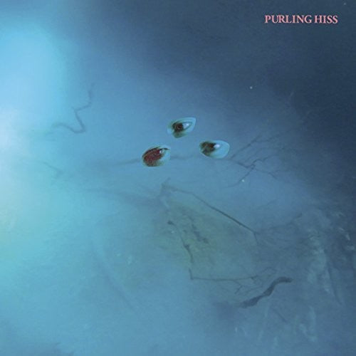 the album cover for Purling Hiss - High Bias