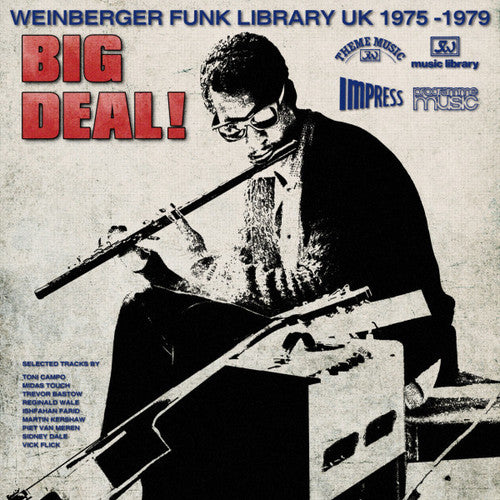 the album cover for Big Deal Weinberger Funk Library Uk 1975-79 / Var - Big Deal Weinberger Funk Library Uk 1975-79 / Var