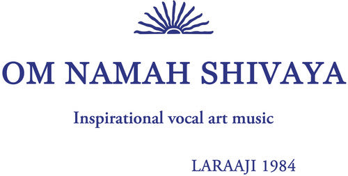the album cover for Laraaji - Om Namah Shivaya (Org) [Download Included]