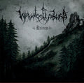 the album cover for Waldgefluster - Ruinen