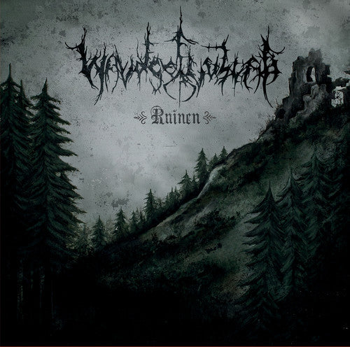 the album cover for Waldgefluster - Ruinen