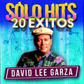 the album cover for David Garza Lee - Solo Hits 20 Exitos