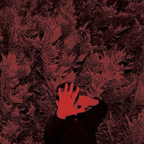 the album cover for Cory Hanson - Unborn Capitalist From Limbo