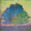the album cover for Eric Johnson - EJ