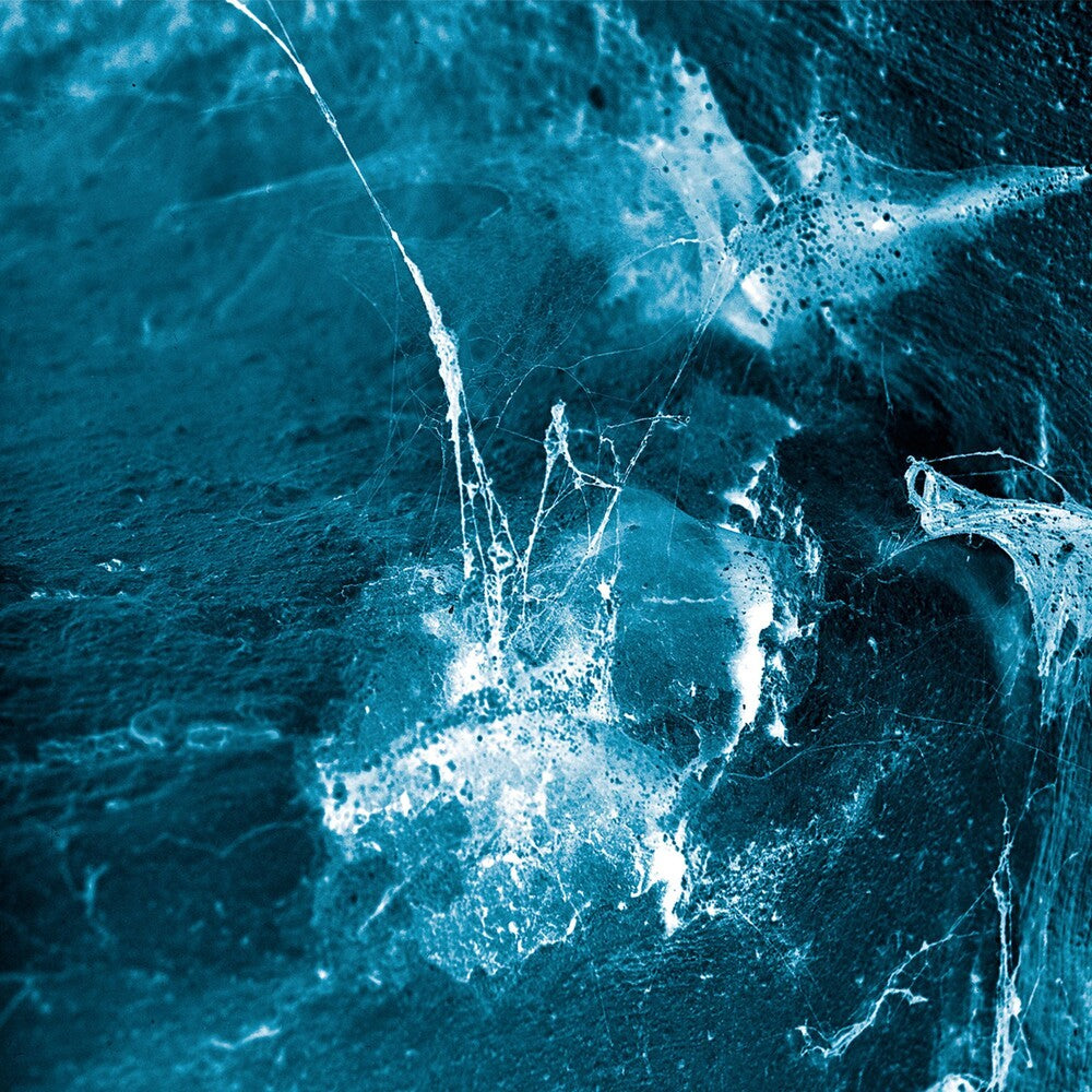 the album cover for Arstidir - Hvel [LP]