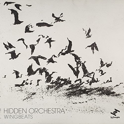 the album cover for Hidden Orchestra - Wingbeats [LP]