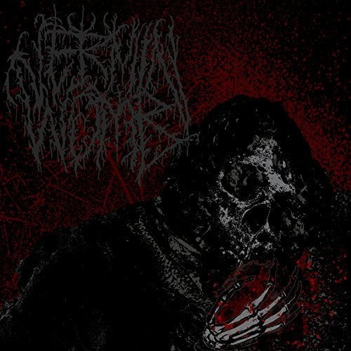 the album cover for Vermin Womb - Decline